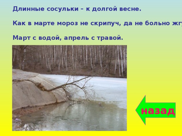 Длинные сосульки – к долгой весне.  Как в марте мороз не скрипуч, да не больно жгуч.  Март с водой, апрель с травой. назад 