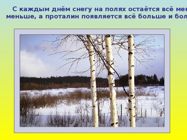  С каждым днём снегу на полях остаётся всё меньше и меньше, а проталин появляется всё больше и больше.  