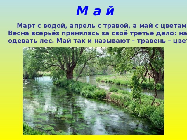 М а й  Март с водой, апрель с травой, а май с цветами. Весна всерьёз принялась за своё третье дело: начала одевать лес. Май так и называют – травень – цветень. 