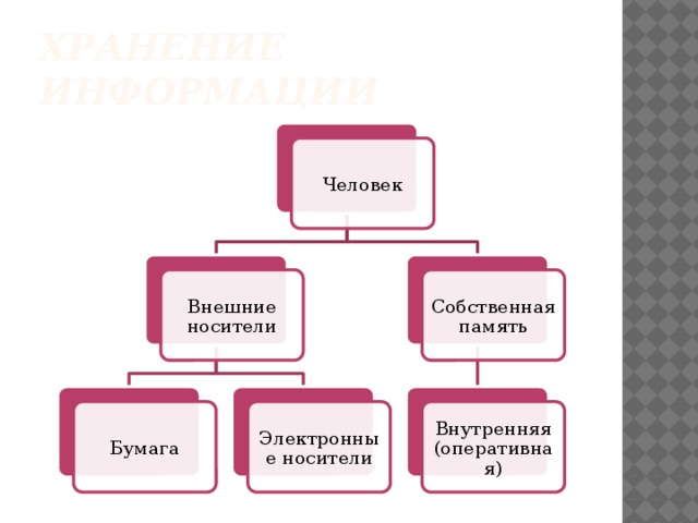 Хранение информации Человек Собственная память Внешние носители Бумага Электронные носители Внутренняя (оперативная) 