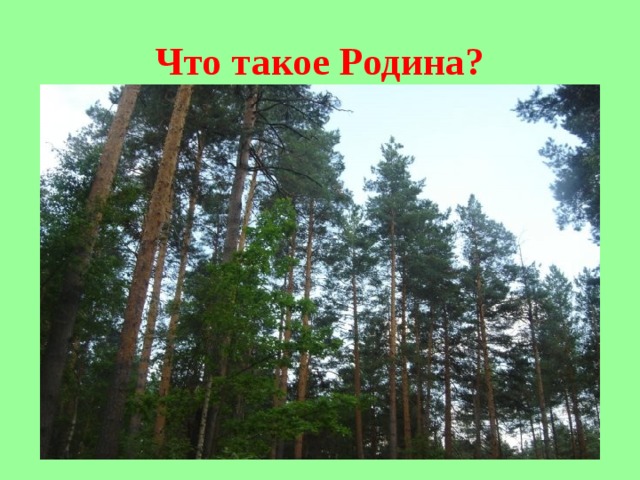 Что такое Родина? 