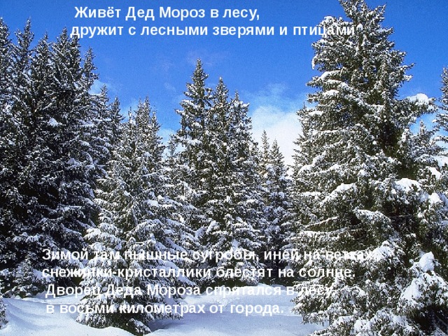  Живёт Дед Мороз в лесу,  дружит с лесными зверями и птицами Зимой там пышные сугробы, иней на ветках,   снежинки-кристаллики блестят на солнце.  Дворец Деда Мороза спрятался в лесу,  в восьми километрах от города. 