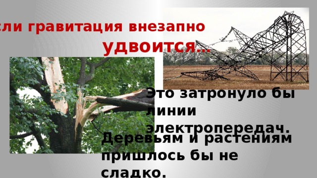 Если  гравитация внезапно удвоится … Это затронуло бы линии электропередач. Деревьям и растениям пришлось бы не сладко. 
