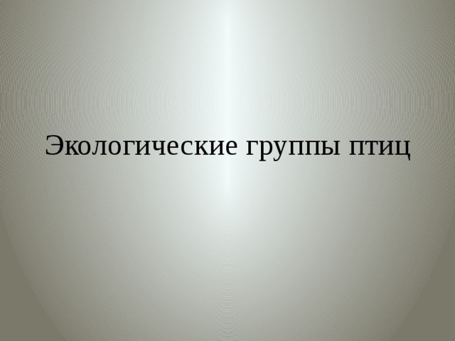 Экологические группы птиц 