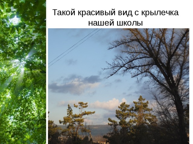 Такой красивый вид с крылечка нашей школы 