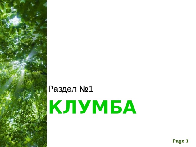 Раздел №1 КЛУМБА 