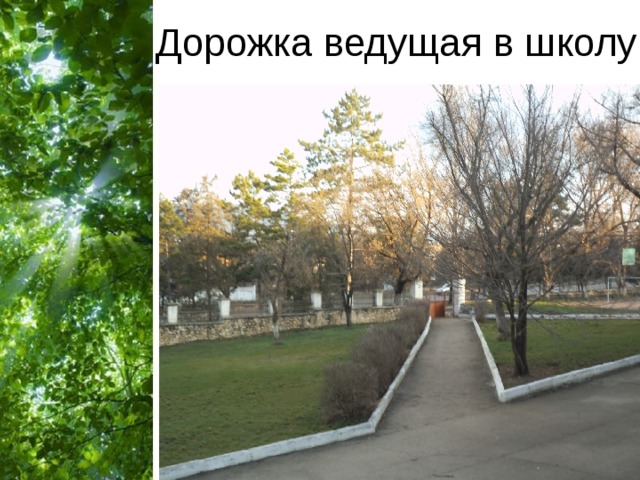 Дорожка ведущая в школу 