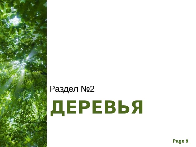 Раздел №2 ДЕРЕВЬЯ 