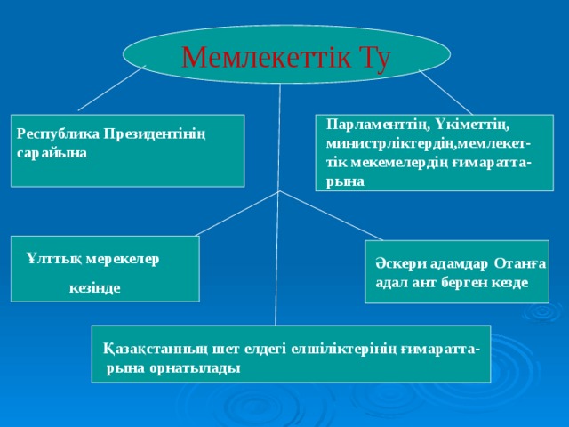 Мемлекеттік Ту Парламенттің, Үкіметтің, министрліктердің,мемлекет-тік мекемелердің ғимаратта-рына Республика Президентінің  сарайына Ұлттық мерекелер  кезінде Әскери адамдар Отанға адал ант берген кезде Қазақстанның шет елдегі елшіліктерінің ғимаратта- рына орнатылады 