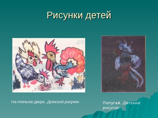 Рисунки детей На птичьем дворе. Детский рисунок Попугай. Детский рисунок 