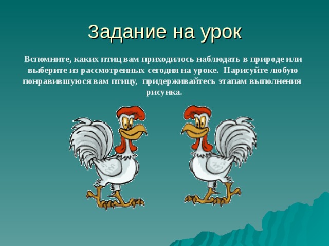 Задание на урок  Вспомните, каких птиц вам приходилось наблюдать в природе или  выберите из рассмотренных сегодня на уроке. Нарисуйте любую  понравившуюся вам птицу,  придерживайтесь этапам выполнения  рисунка.  