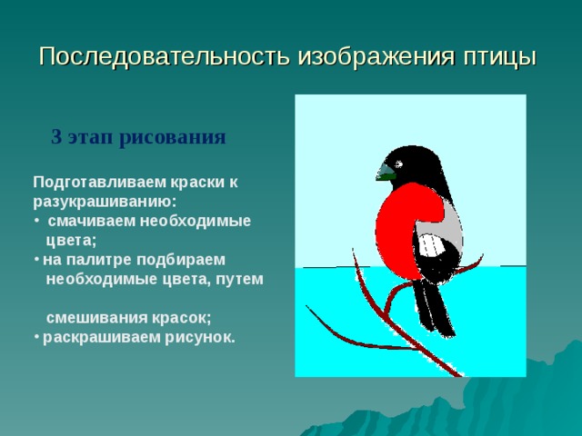 Последовательность изображения птицы 3 этап рисования Подготавливаем краски к разукрашиванию:  смачиваем необходимые  цвета;  на палитре подбираем  необходимые цвета, путем  смешивания красок;  раскрашиваем рисунок. 