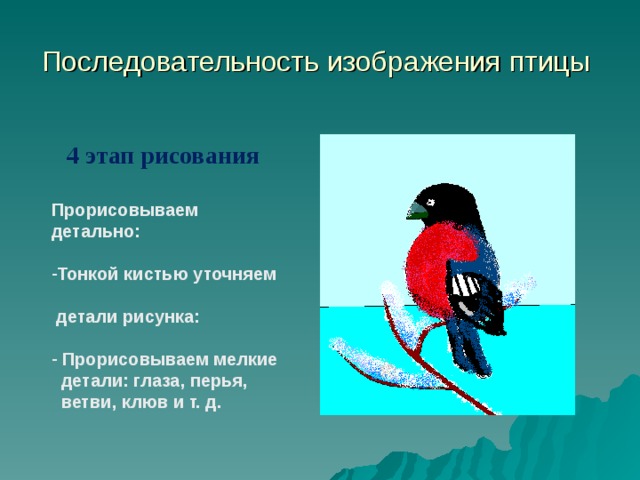 Последовательность изображения птицы 4 этап рисования Прорисовываем детально:  Тонкой кистью уточняем  детали рисунка:   Прорисовываем мелкие  детали: глаза, перья,  ветви, клюв и т. д. 