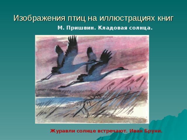 Изображения птиц на иллюстрациях книг М. Пришвин. Кладовая солнца. Журавли солнце встречают. Иван Бруни. 