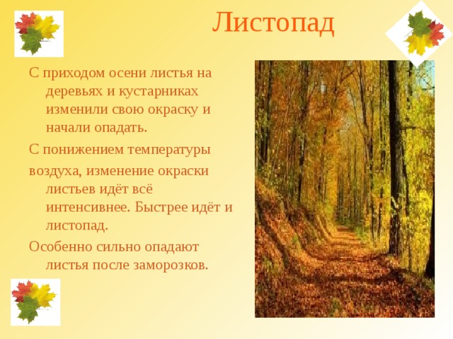   Листопад С приходом осени листья на деревьях и кустарниках изменили свою окраску и начали опадать. С понижением температуры воздуха, изменение окраски листьев идёт всё интенсивнее. Быстрее идёт и листопад. Особенно сильно опадают листья после заморозков. 