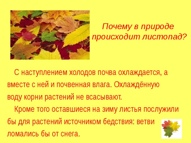 Почему в природе  происходит листопад?  С наступлением холодов почва охлаждается, а вместе с ней и почвенная влага. Охлаждённую воду корни растений не всасывают.  Кроме того оставшиеся на зиму листья послужили бы для растений источником бедствия: ветви ломались бы от снега. 