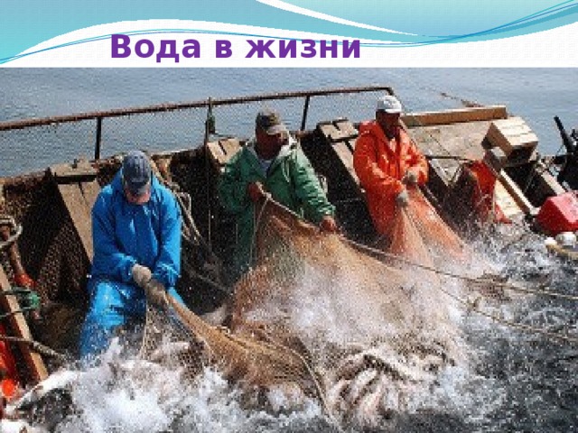  Вода в жизни человека 