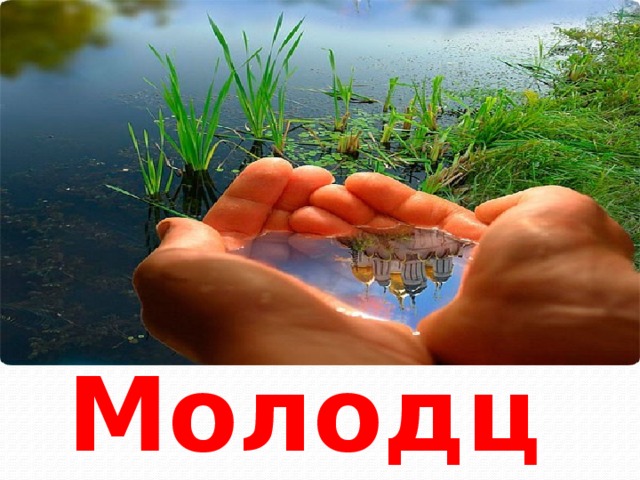 Молодцы! 