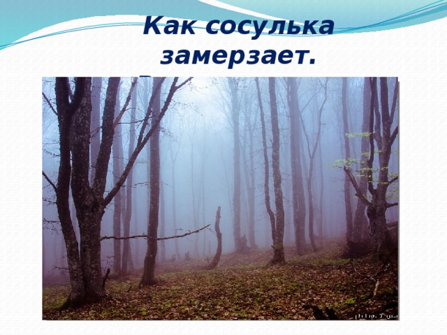 Как сосулька замерзает. В лес туманом заползает. 