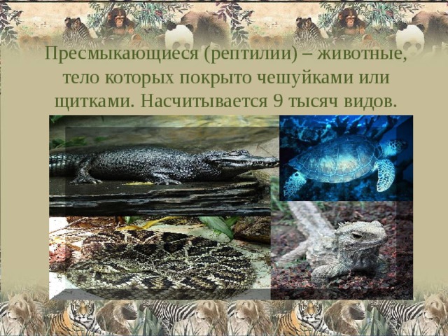 Пресмыкающиеся (рептилии) – животные, тело которых покрыто чешуйками или щитками. Насчитывается 9 тысяч видов. 