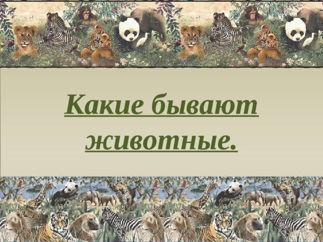 Какие бывают животные. 