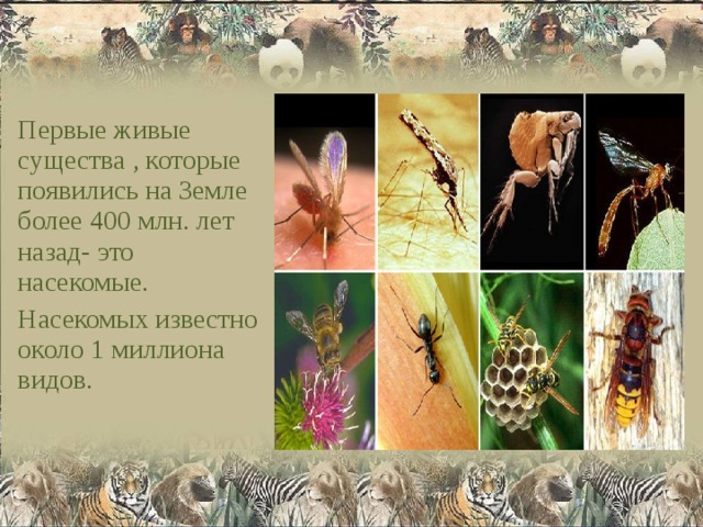 Первые живые существа , которые появились на Земле более 400 млн. лет назад- это насекомые. Насекомых известно около 1 миллиона видов. 