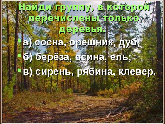 Найди группу, в которой перечислены только деревья.  а) сосна, орешник, дуб; б) берёза, осина, ель; в) сирень, рябина, клевер. 