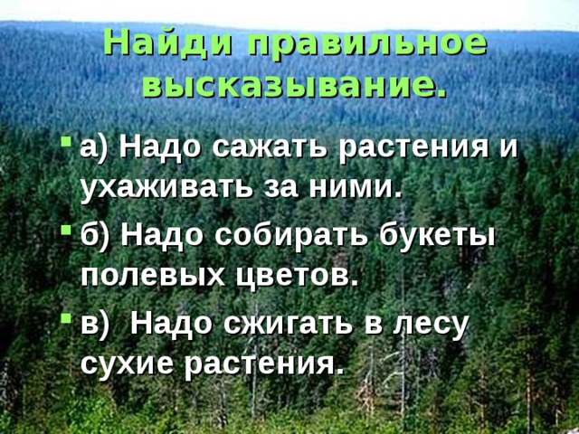Найди правильное высказывание. а) Надо сажать растения и ухаживать за ними. б) Надо собирать букеты полевых цветов. в) Надо сжигать в лесу сухие растения. 