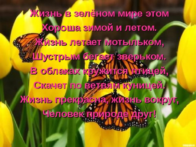 Жизнь в зелёном мире этом Хороша зимой и летом. Жизнь летает мотыльком, Шустрым бегает зверьком. В облаках кружится птицей, Скачет по ветвям куницей. Жизнь прекрасна, жизнь вокруг, Человек природе друг! 