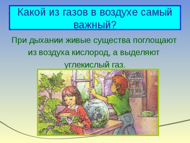 Какой из газов в воздухе самый важный? При дыхании живые существа поглощают из воздуха кислород, а выделяют углекислый газ. 