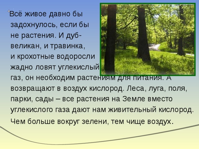  Всё живое давно бы  задохнулось, если бы  не растения. И дуб-  великан, и травинка,  и крохотные водоросли  жадно ловят углекислый  газ, он необходим растениям для питания. А  возвращают в воздух кислород. Леса, луга, поля,  парки, сады – все растения на Земле вместо  углекислого газа дают нам живительный кислород.  Чем больше вокруг зелени, тем чище воздух . 