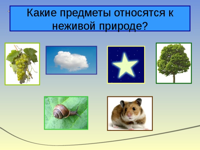 Какие предметы относятся к неживой природе? 