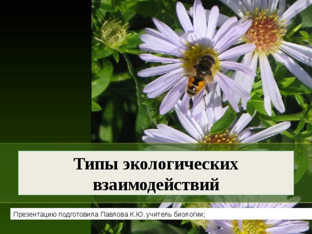 Типы экологических взаимодействий Презентацию подготовила Павлова К.Ю. учитель биологии;  