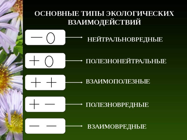 ОСНОВНЫЕ ТИПЫ ЭКОЛОГИЧЕСКИХ ВЗАИМОДЕЙСТВИЙ НЕЙТРАЛЬНОВРЕДНЫЕ ПОЛЕЗНОНЕЙТРАЛЬНЫЕ ВЗАИМОПОЛЕЗНЫЕ ПОЛЕЗНОВРЕДНЫЕ ВЗАИМОВРЕДНЫЕ 