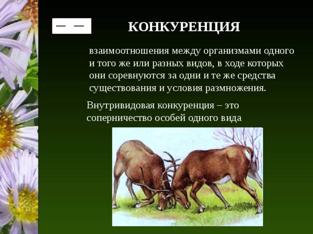 КОНКУРЕНЦИЯ взаимоотношения между организмами одного и того же или разных видов, в ходе которых они соревнуются за одни и те же средства существования и условия размножения. Внутривидовая конкуренция – это соперничество особей одного вида 