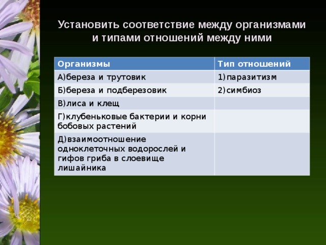 Установить соответствие между организмами и типами отношений между ними Организмы Тип отношений А)береза и трутовик 1)паразитизм Б)береза и подберезовик 2)симбиоз В)лиса и клещ Г)клубеньковые бактерии и корни бобовых растений Д)взаимоотношение одноклеточных водорослей и гифов гриба в слоевище лишайника 