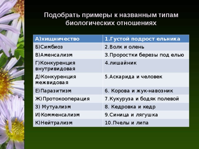 Подобрать примеры к названным типам биологических отношениях А)хищничество 1.Густой подрост ельника Б)Симбиоз 2.Волк и олень В)Аменсализм 3.Проростки березы под елью Г)Конкуренция внутривидовая 4.лишайник Д)Конкуренция межвидовая 5.Аскарида и человек Е)Паразитизм 6. Корова и жук-навозник Ж)Протокооперация 7.Кукуруза и бодяк полевой З) Мутуализм 8. Кедровка и кедр И)Комменсализм 9.Синица и лягушка К)Нейтрализм 10.Пчелы и липа 