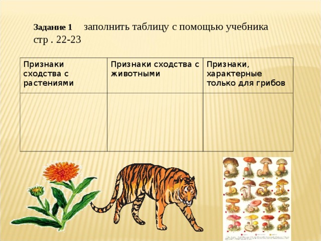 Задание 1  заполнить таблицу с помощью учебника стр . 22-23 Признаки сходства с растениями Признаки сходства с животными Признаки, характерные только для грибов 