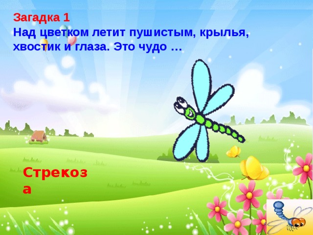 Загадка 1  Над цветком летит пушистым, крылья, хвостик и глаза. Это чудо … Стрекоза 