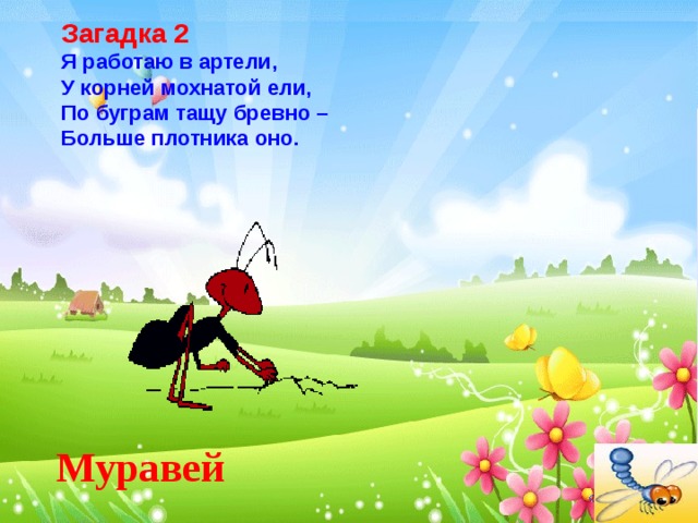 Загадка 2  Я работаю в артели,  У корней мохнатой ели,  По буграм тащу бревно –  Больше плотника оно. Муравей 