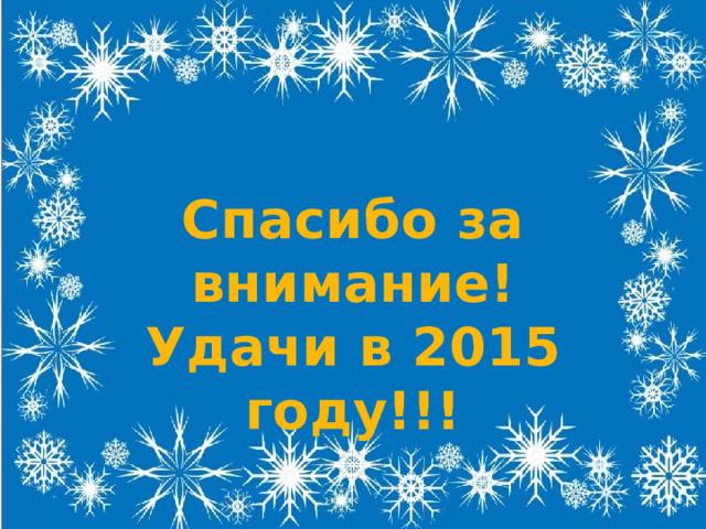 Спасибо за внимание! Удачи в 2015 году!!! 