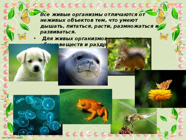 Все живые организмы отличаются от неживых объектов тем, что умеют дышать, питаться, расти, размножаться и развиваться.  Для живых организмов характерен обмен веществ и раздражимость.  