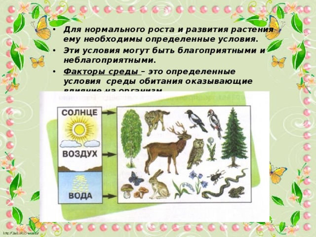 Для нормального роста и развития растения ему необходимы определенные условия. Эти условия могут быть благоприятными и неблагоприятными. Факторы среды – это определенные условия среды обитания оказывающие влияние на организм. 