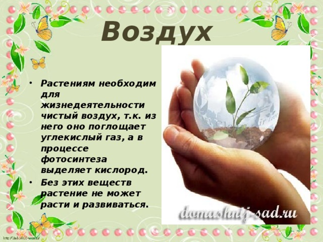 Воздух Растениям необходим для жизнедеятельности чистый воздух, т.к. из него оно поглощает углекислый газ, а в процессе фотосинтеза выделяет кислород. Без этих веществ растение не может расти и развиваться. 
