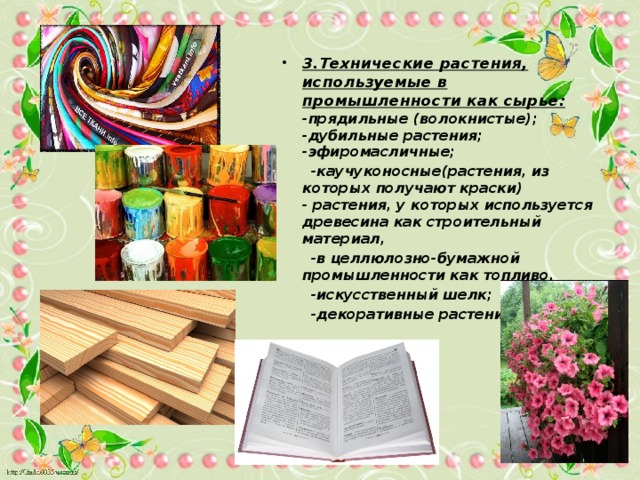 3.Технические растения, используемые в промышленности как сырье:  -прядильные (волокнистые); -дубильные растения; -эфиромасличные;  -каучуконосные(растения, из которых получают краски)  - растения, у которых используется древесина как строительный материал,  -в целлюлозно-бумажной промышленности как топливо,  -искусственный шелк;  -декоративные растения. 