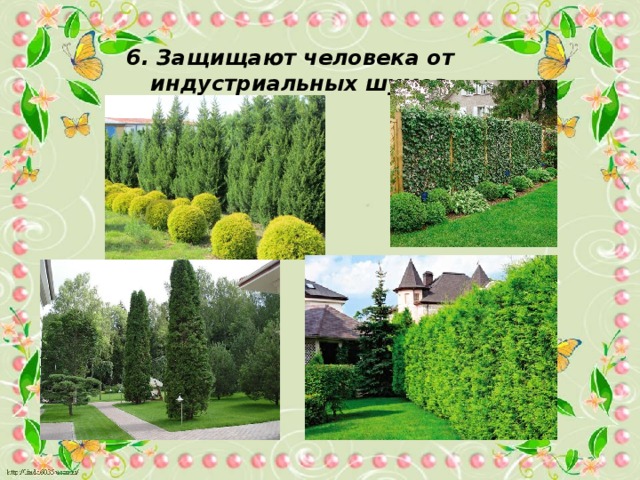 6. Защищают человека от индустриальных шумов. 