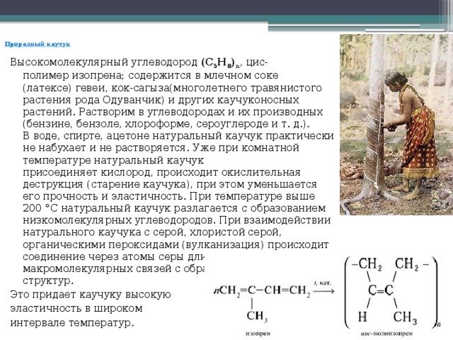 Природный каучук   Высокомолекулярный углеводород  (C 5 H 8 ) n , цис-полимер изопрена; содержится в млечном соке (латексе) гевеи, кок-сагыза(многолетнего травянистого растения рода Одуванчик) и других каучуконосных растений. Растворим в углеводородах и их производных (бензине, бензоле, хлороформе, сероуглероде и т. д.). В воде, спирте, ацетоне натуральный каучук практически не набухает и не растворяется. Уже при комнатной температуре натуральный каучук присоединяет кислород, происходит окислительная деструкция (старение каучука), при этом уменьшается его прочность и эластичность. При температуре выше 200 °C натуральный каучук разлагается с образованием низкомолекулярных углеводородов. При взаимодействии натурального каучука с серой, хлористой серой, органическими пероксидами (вулканизация) происходит соединение через атомы серы длинных макромолекулярных связей с образованием сетчатых структур. Это придает каучуку высокую эластичность в широком интервале температур. 