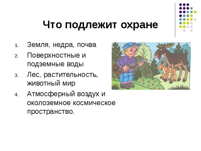 Что подлежит охране Земля, недра, почва Поверхностные и подземные воды Лес, растительность, животный мир Атмосферный воздух и околоземное космическое пространство. 