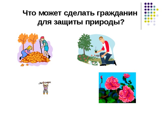Что может сделать гражданин  для защиты природы? 