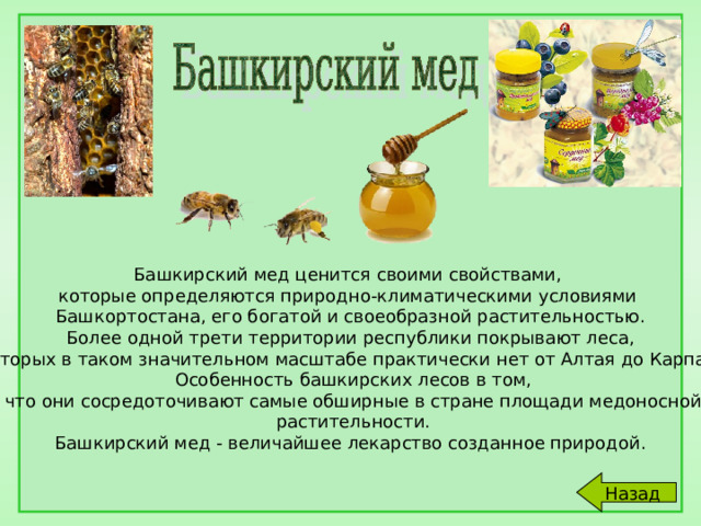 Башкирский мед ценится своими свойствами, которые определяются природно-климатическими условиями Башкортостана, его богатой и своеобразной растительностью.  Более одной трети территории республики покрывают леса, которых в таком значительном масштабе практически нет от Алтая до Карпат.  Особенность башкирских лесов в том,  что они сосредоточивают самые обширные в стране площади медоносной  растительности.  Башкирский мед - величайшее лекарство созданное природой. Назад 